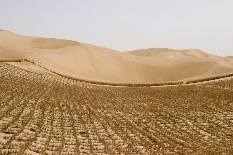 Desert Control, (073)